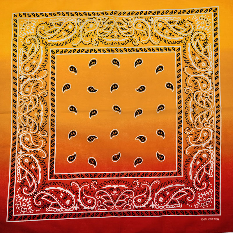 Fashion Unisex Black Paisley H - Bandana Blank White のレビューと価格
