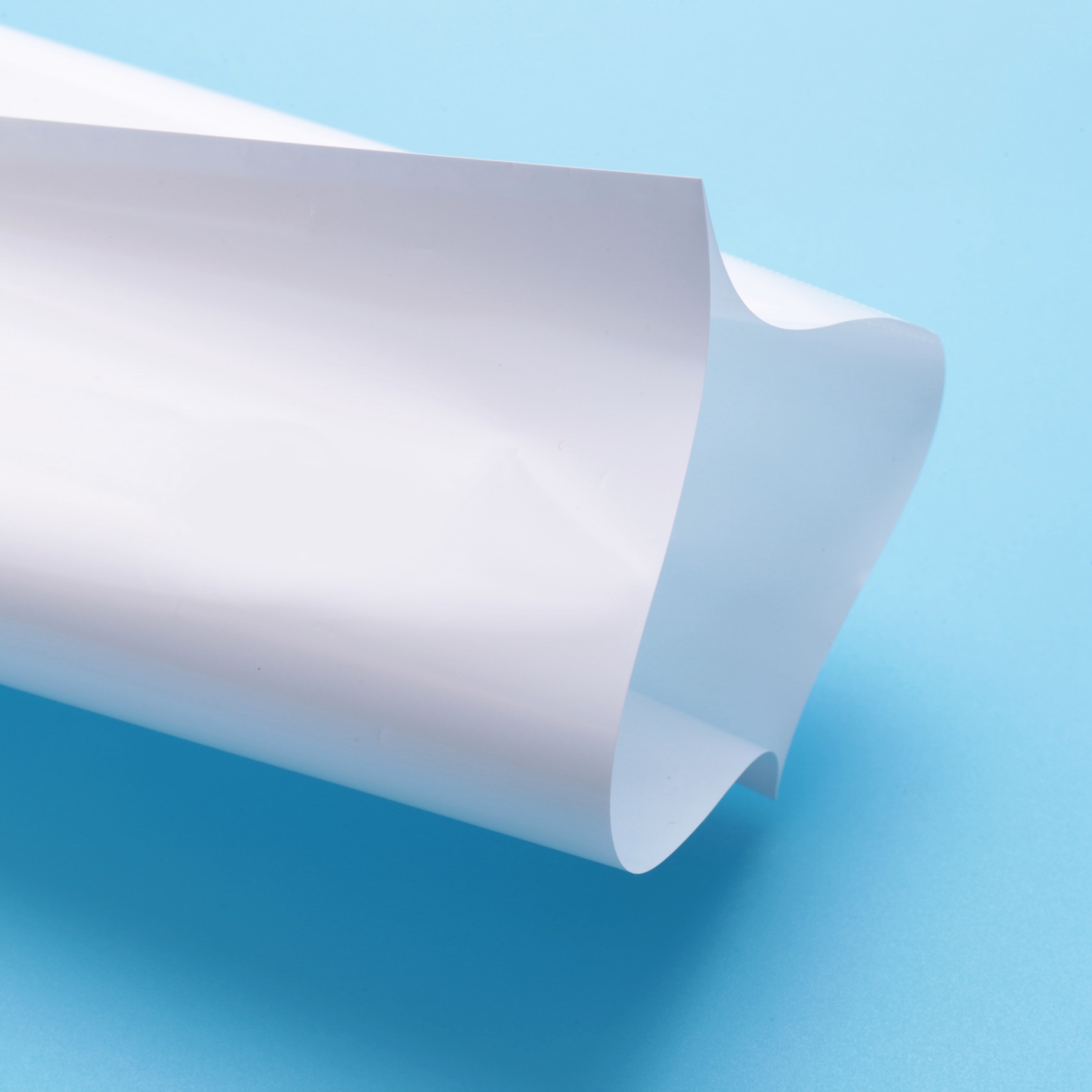 AEE3-30Pcs Sublimation Shrink  - Sublimation Mug White のレビューと価格